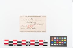 Etiketten zu Bronzebrillenfibel (NHMW-PRAE-024762)